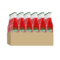 Barrilitos Fruit Punch 24 pk/12 oz, 288 Ounce